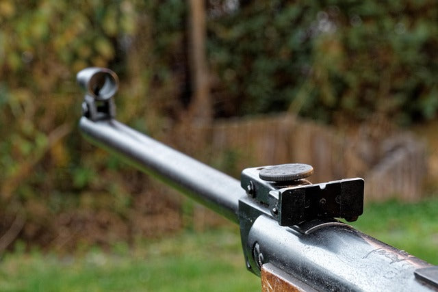 DYNA Brown Rifle - Diana Air Rifle - Sports Air Rifle